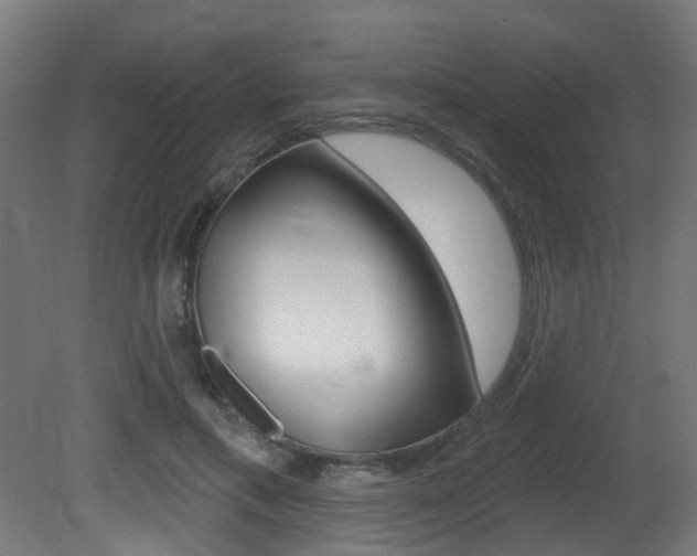 X0000081420597200701120946