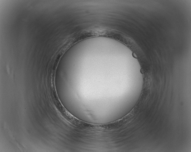 X0000081420598200701120946