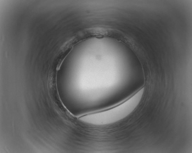 X0000081420600200701120946