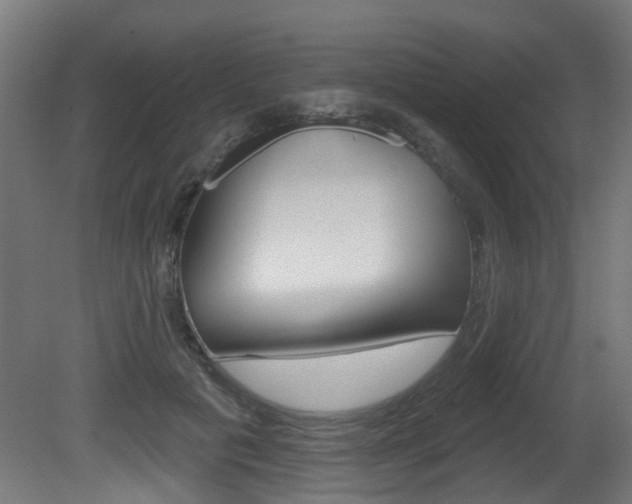 X0000081420601200701120946