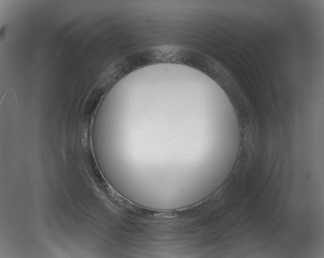 X0000081420602200701120946