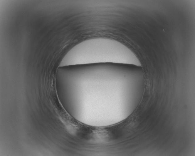 X0000081420603200701120946