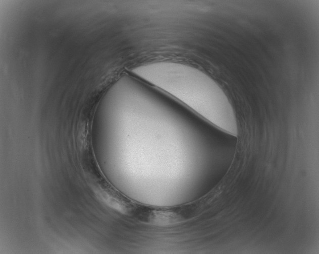 X0000081420605200701120946