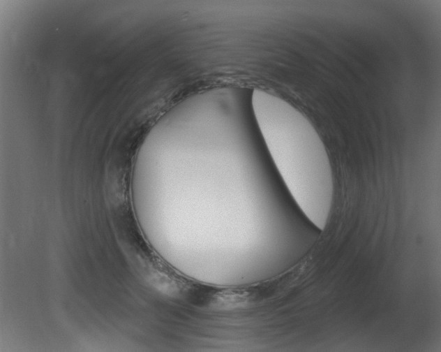 X0000081420606200701120946