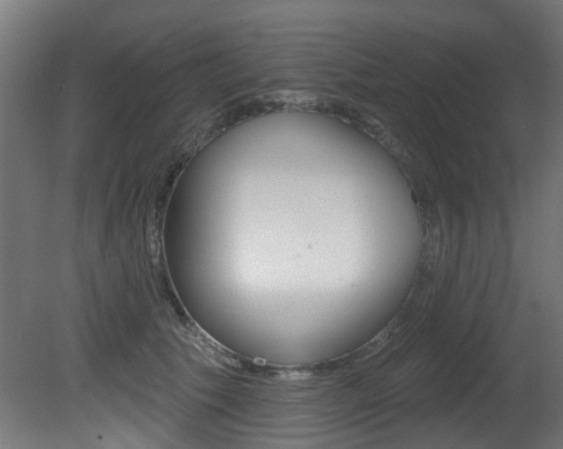 X0000081420609200701120946