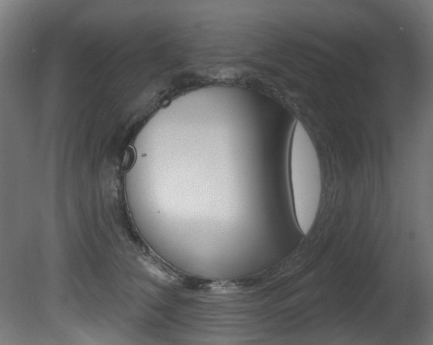 X0000081420612200701120946
