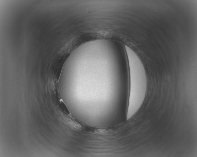 X0000081420613200701120946