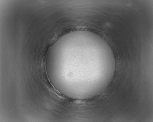 X0000081420614200701120946
