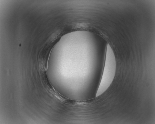 X0000081420617200701120946