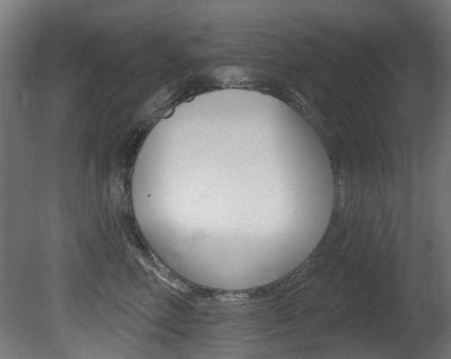 X0000081420618200701120946