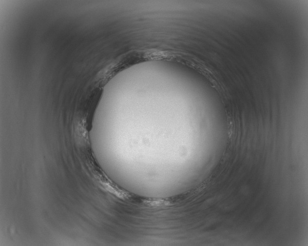 X0000081420621200701120946