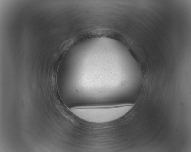 X0000081420623200701120946