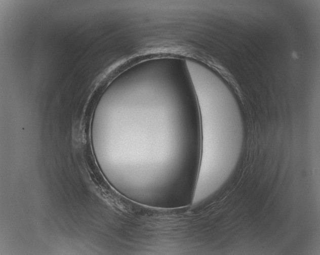 X0000081420628200701120945