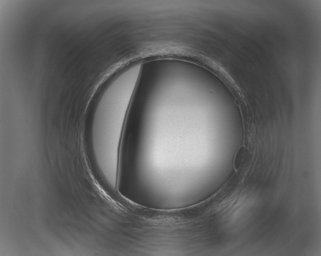 X0000081420629200701120945