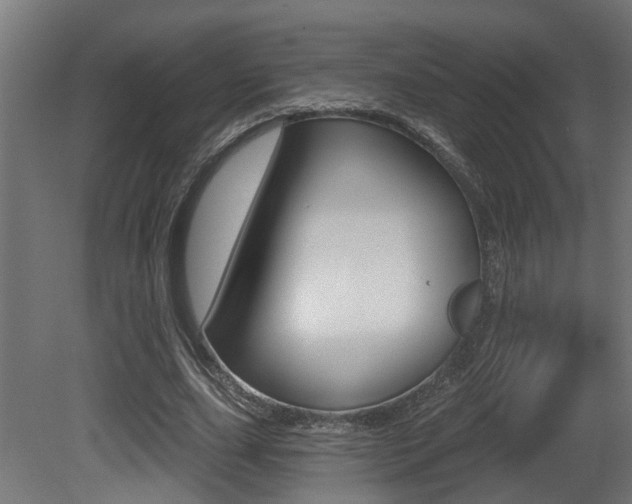 X0000081420631200701120945