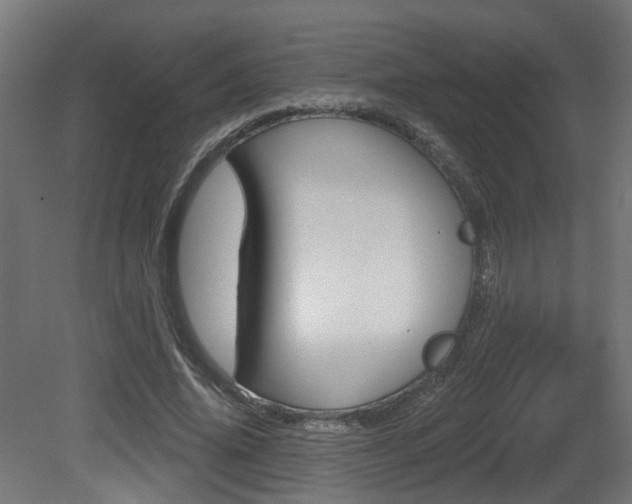 X0000081420636200701120945