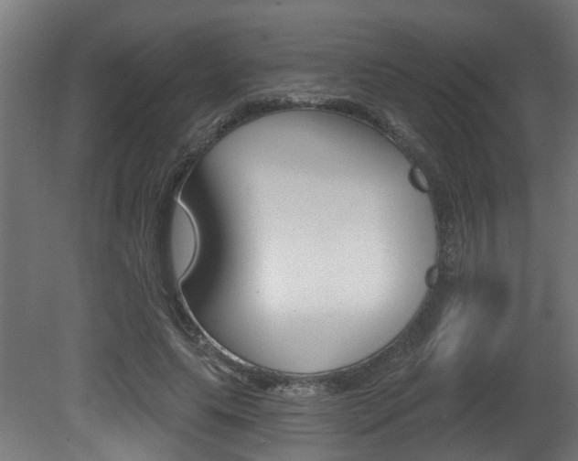 X0000081420639200701120945