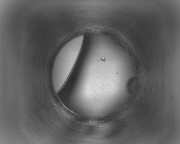 X0000081420641200701120945