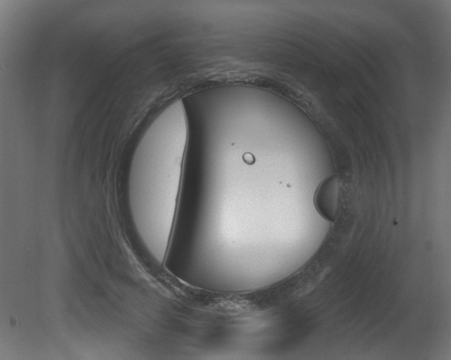 X0000081420642200701120945