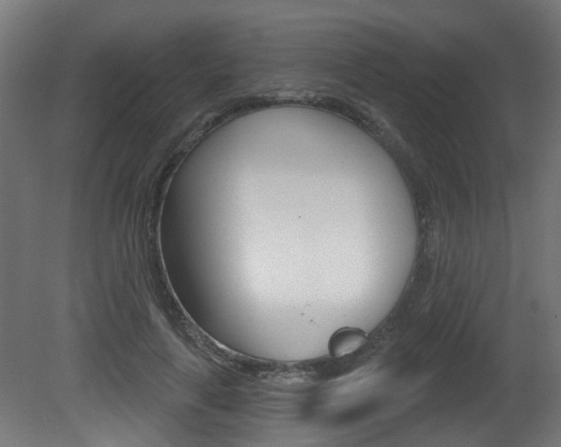 X0000081420643200701120945