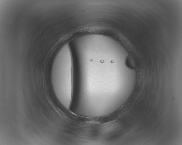 X0000081420644200701120945