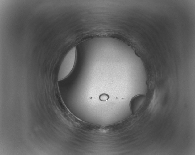 X0000081420647200701120946