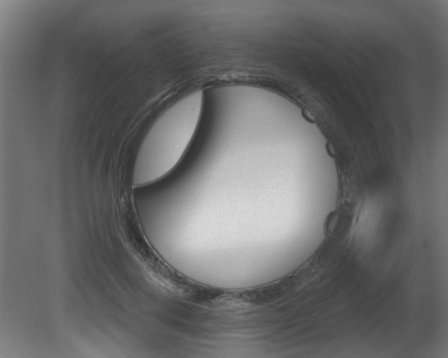 X0000081420648200701120946