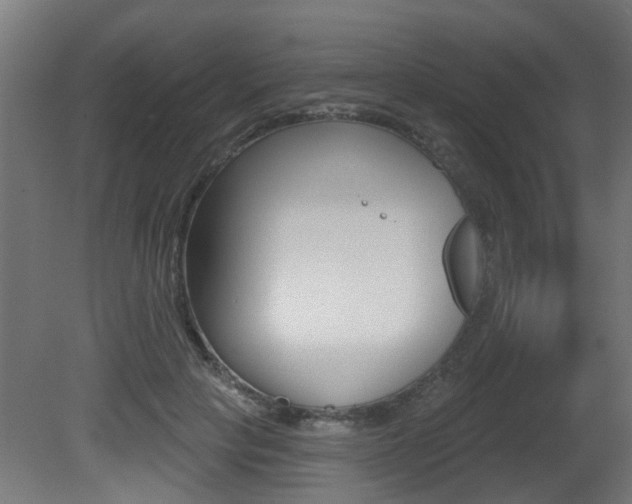 X0000081420649200701120946