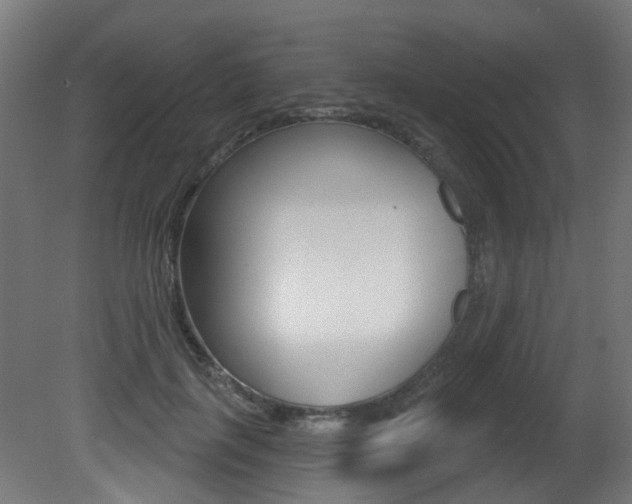 X0000081420651200701120946