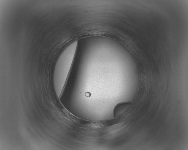 X0000081420652200701120946