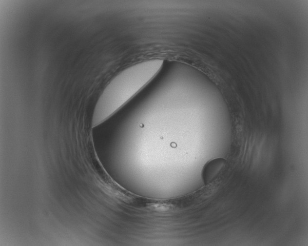 X0000081420654200701120946