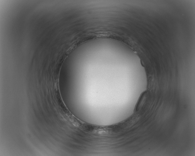X0000081420655200701120946