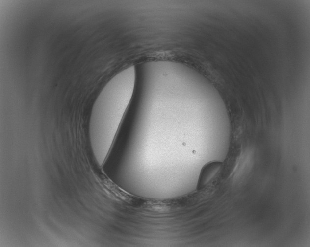 X0000081420658200701120946