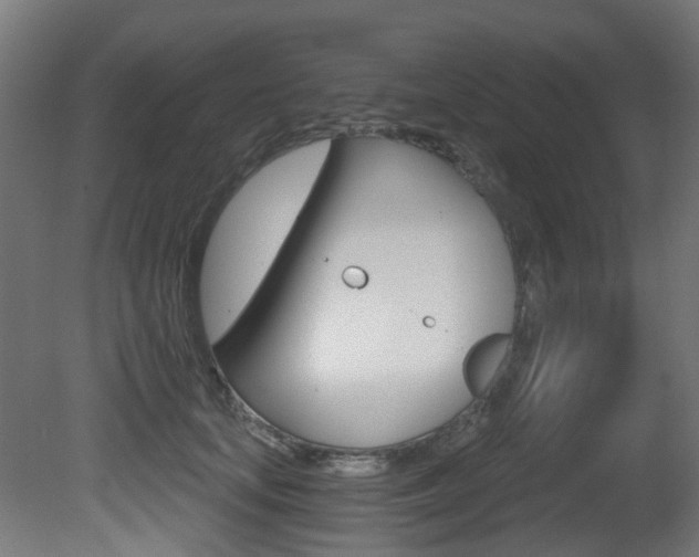 X0000081420659200701120946