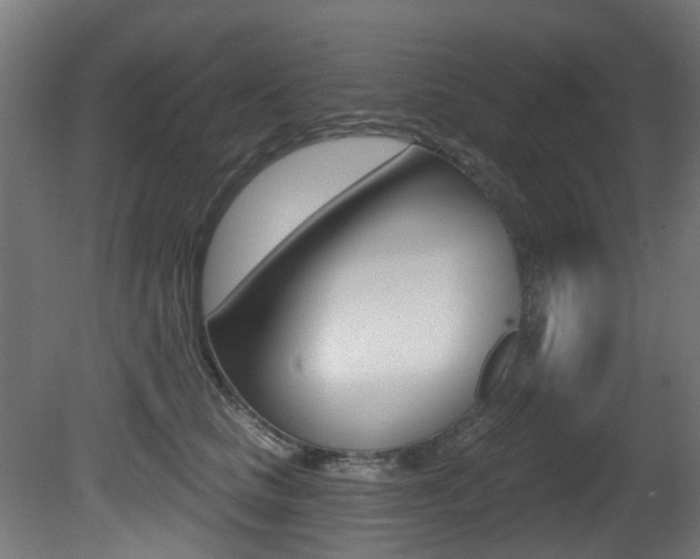 X0000081420661200701120946