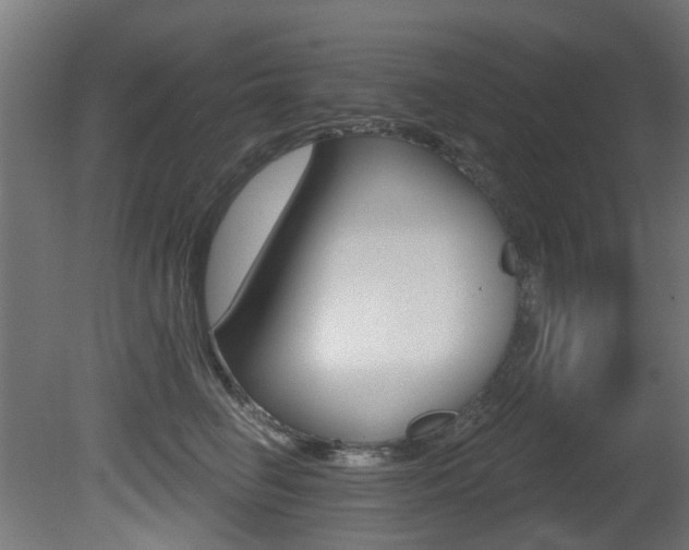 X0000081420662200701120946