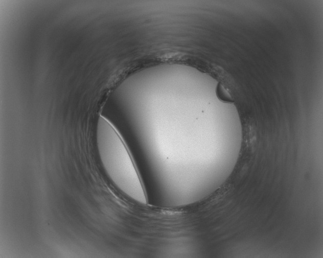 X0000081420664200701120946