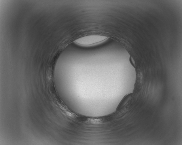 X0000081420665200701120946