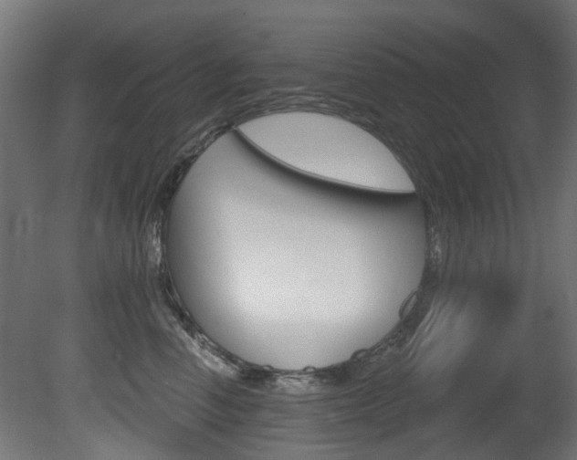 X0000081420666200701120946