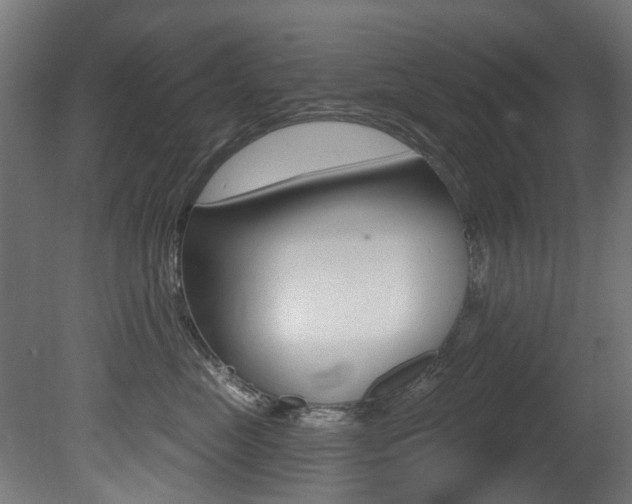 X0000081420669200701120946