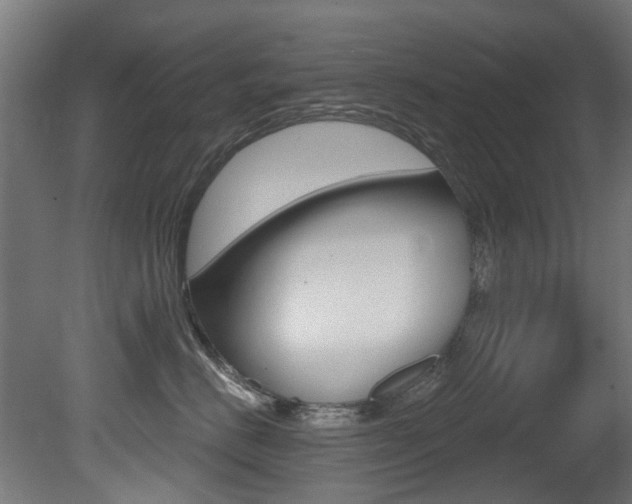 X0000081420670200701120946
