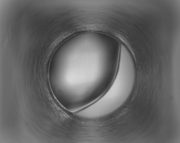 X0000081420673200701120945