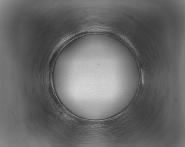 X0000081420675200701120945