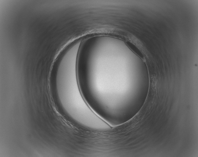 X0000081420676200701120945