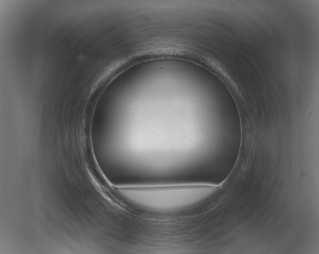 X0000081420677200701120945