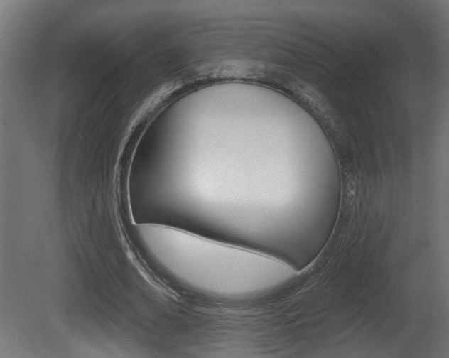 X0000081420678200701120945