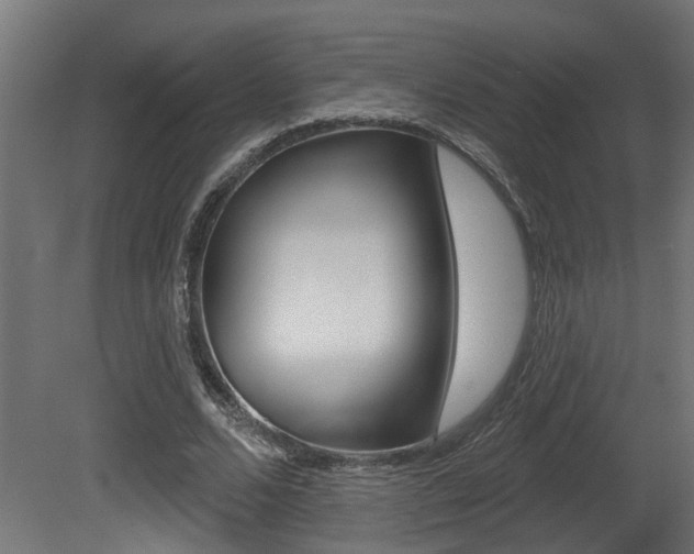 X0000081420680200701120945