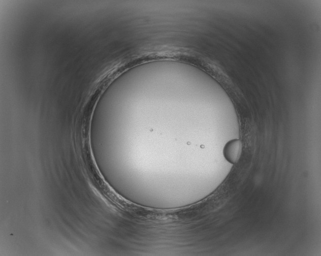X0000081420683200701120945