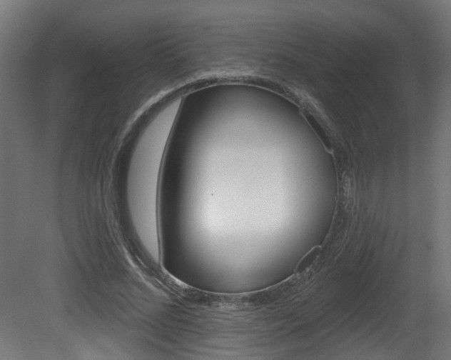 X0000081420684200701120945