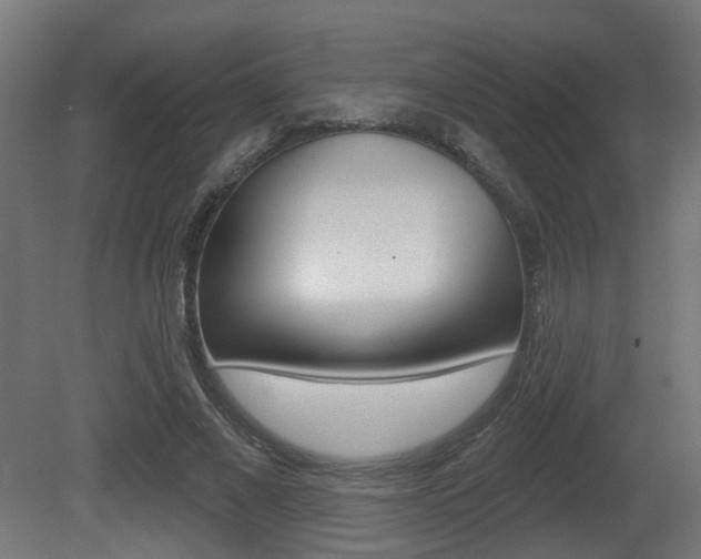 X0000081420685200701120945